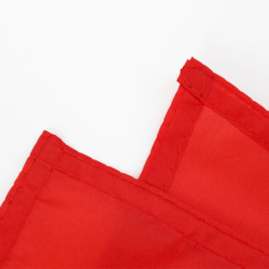 Drapeau la Roumanie 90x150 – Polyester, œillets | Planet Flag