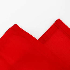 Drapeau la Suisse 90x150 – Polyester, œillets | Planet Flag