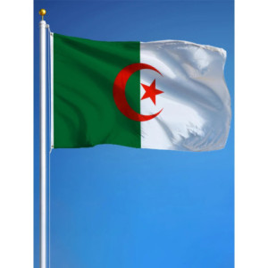 Drapeau l'Algérie 90x150 – Polyester, œillets | Planet Flag