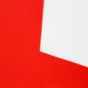 Drapeau l'Algérie 90x150 – Polyester, œillets | Planet Flag