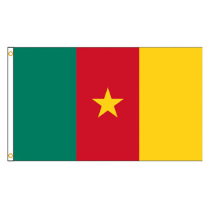 Drapeau Cameroun 90x150 – Polyester, œillets | Planet Flag