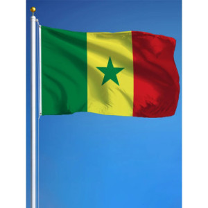 Drapeau Sénégal 90x150 – Polyester, œillets | Planet Flag