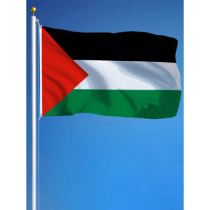 Drapeau la Palestine 90x150 – Polyester, œillets | Planet Flag