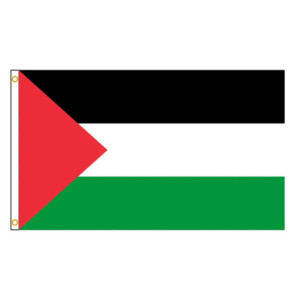 Drapeau la Palestine 90x150 – Polyester, œillets | Planet Flag