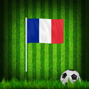 Drapeau à main la France | Planet Flag