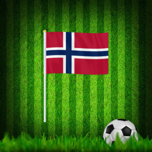Drapeau à main la Norvège | Planet Flag