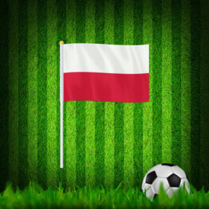 Drapeau à main la Pologne | Planet Flag