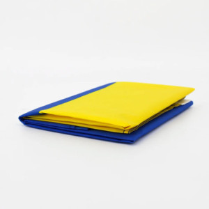 Drapeau l'Ukraine 90x150 – Polyester, œillets | Planet Flag