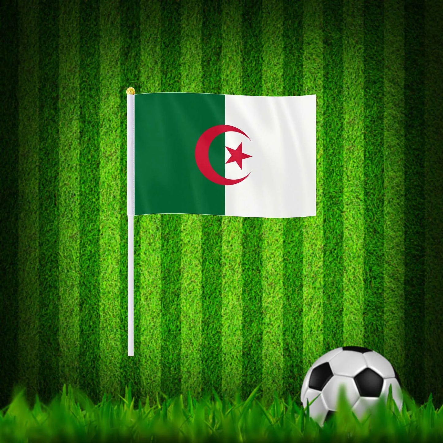 Drapeau à main de l'Algérie