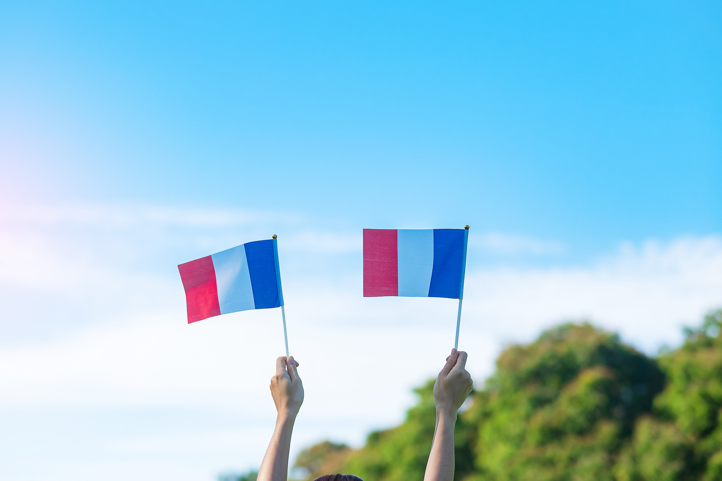 Drapeau de la France : Histoire, Signification et Symbolique